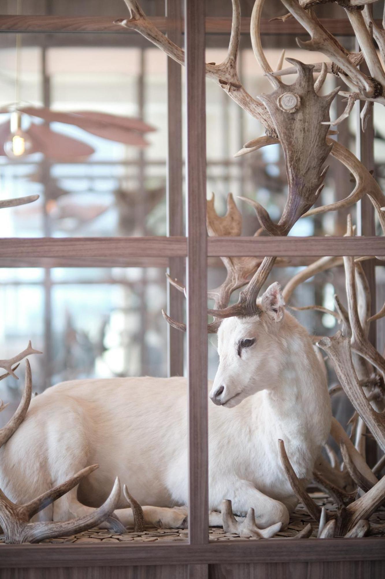 Boutique Hotel Blendin Bloemendaal Aan Zee 외부 사진